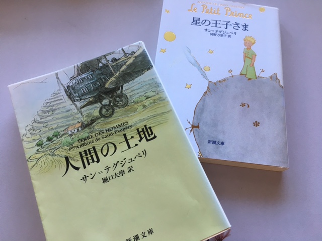 読書雑感 人間の土地 松本深圧院グループ